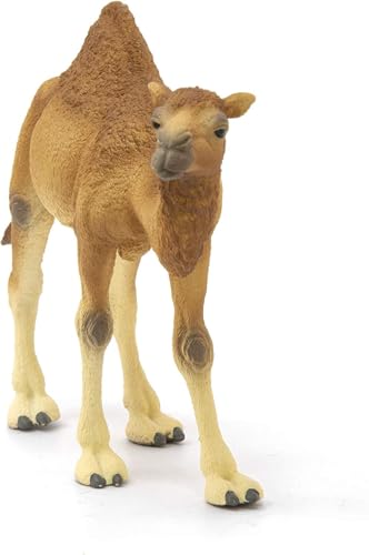 schleich Wild Life - 4" Dromedary Figurine with Realistic Hump - Durable Safari Camel Toy for Tactile Imaginative Play - Desert Animal Figure Educational Toy for Children - Kids Ages 3+ | 14832