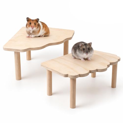 Hamster Platform 2 Pack - Wooden Cage Accessories for Dwarf Syrian Hamsters, Gerbils, Mice, Degus - Extra Large Wood Play Stand, Easy Install