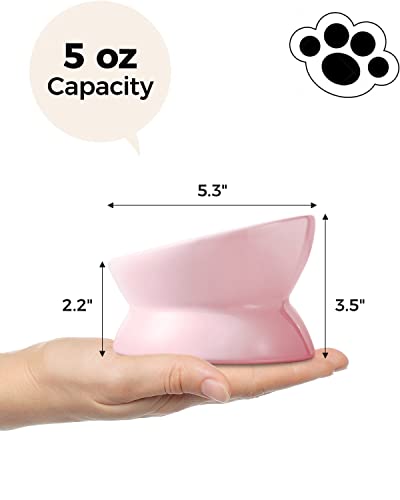 LoeJan Elevated Cat Food Bowl, 5 Oz Ceramic Raised and Tilted Water Bowl, Anti Vomiting and Protect Pets' Spines Dishes for Small Dog, Fat Faced Cat, Kitten (Pink, 1 Pack) - color: Pink