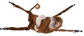 Marshall Pet Products Hanging Monkey Hammock, brown, 5-quart (FP-360)