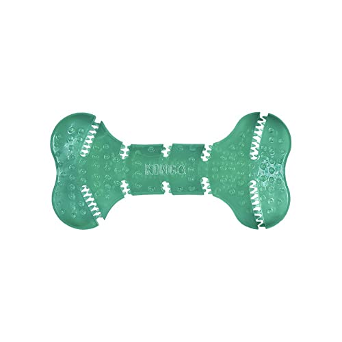 KONG Squeezz Dental Bone - Dog Toy for Cleaning Teeth - Flexible Chew Toy for Gentle & Mild Chewers - for Medium/Large Dogs | Flexible Squeezable Dental Toy for Gentle & Mild Chewers, Helps Clean Teeth & Gums During Engaging Play - style: Bone