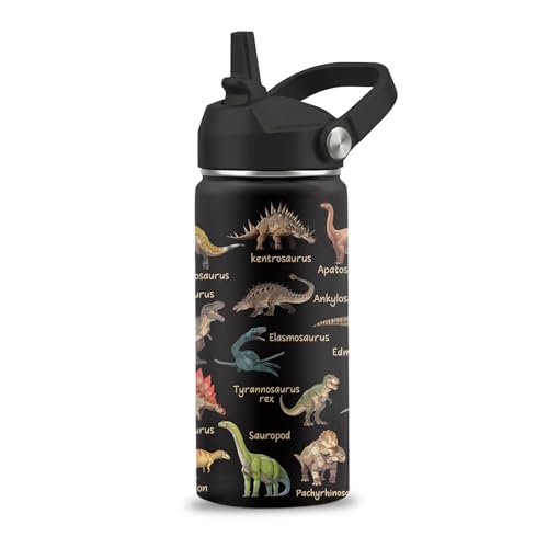 Dinosaur Water Bottle, Dinosaur Gifts, 16 oz Water Bottle with Straw Lid | Stainless Steel Insulated Water Bottle for Travel Outdoor, Dinosaur Cup for Dinosaur Lovers - color: Dinosaur