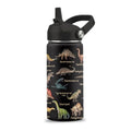 Dinosaur Water Bottle, Dinosaur Gifts, 16 oz Water Bottle with Straw Lid | Stainless Steel Insulated Water Bottle for Travel Outdoor, Dinosaur Cup for Dinosaur Lovers - color: Dinosaur
