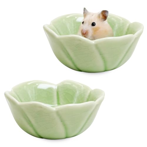 BNOSDM 2 Pcs Hamster Ceramic Food Bowl Flower Series Gerbil Drinking Bowls Anti-Turning Food & Water Dish for Dwarf Syrian Hamsters Gerbil Chinchilla（Green, Rose Pattern） - color: Green