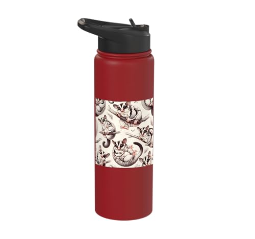 Beautiful Sugar Glider Pattern Aesthetic Sugar Gliders Stainless Steel Insulated Water Bottle - color: Red