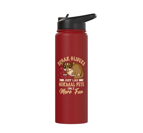 Australia Marsupial Wildlife Animal Lover Sugar Glider Stainless Steel Insulated Water Bottle - color: Red
