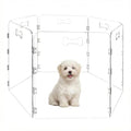 6-Panel Clear Acrylic Freestanding Dog Gate, Folding Pet Barrier | Transparent Puppy Fence with Handles, Foldable Playpen for House, Indoor Stairs, Doorways, Small Dogs & Rabbit - size: 6-Panel