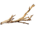 Exo Terra Forest Branch Small - Natural Wood Terrarium Decoration | For Reptiles, Amphibians & Small Pets - size: Small