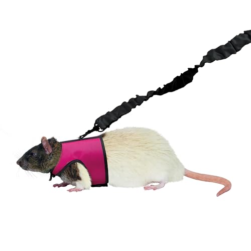Kaytee Comfort Harness and Stretch Leash, Small | Safer walks and healthy exercise. Small-animal leash and harness. Velcro straps, e-z snap buckle, 4-ft harness leash - size: Small