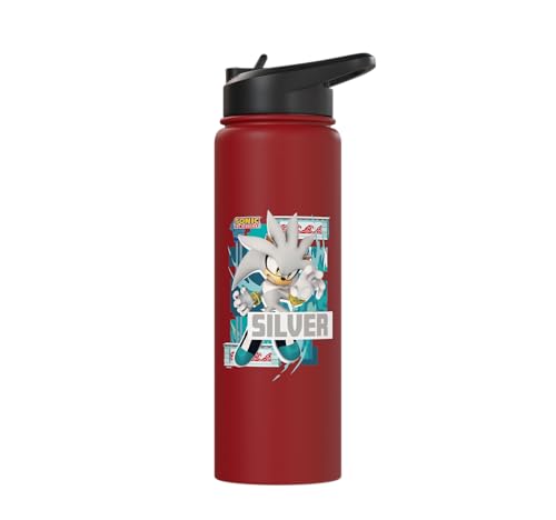 Sonic the Hedgehog - In the Zone - Silver Stainless Steel Insulated Water Bottle - color: Red