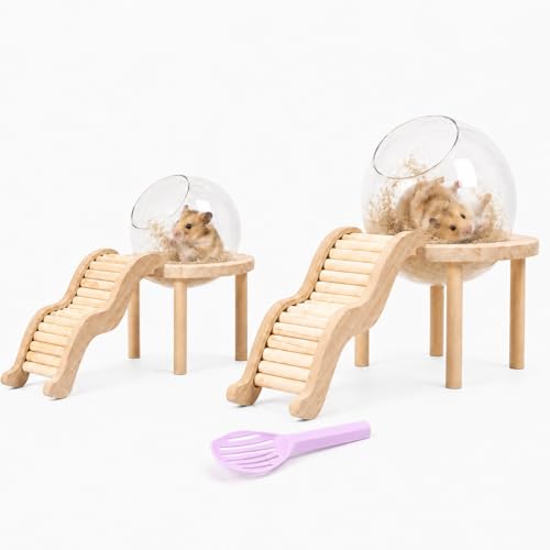 Hamster Sand Bath Container with Clear Dome, Anti-Scatter Dust Box for Dwarf Hamsters, Syrian Hamsters & Gerbils, Easy-Entry Small Pet House (Small) | Sand bath for hamsters, anti-scatter clear dome, curved ladder, scoop included for dwarf, Syrian hamster