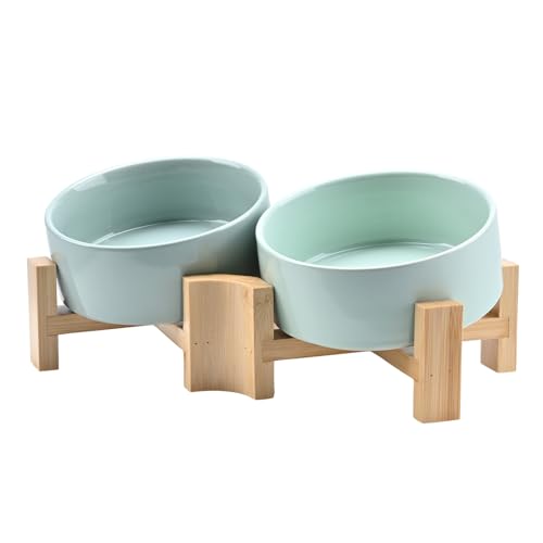 SPUNKYJUNKY 15° Slanted Ceramic Dog and Cat Bowl with Wooden Stand, Tilted Bulldog Food and Water Bowl No Slip Non-Spill for Cats Medium Dogs Big Face Pets 13.5 OZ (1.7 Cups, Morandi Green × 2) - color: Morandi Green, size: 1.7 CUPS × 2
