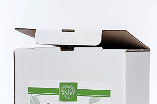 Small Pet Select Recycled Paper Pellet Bedding & Litter, Rabbits, 10 lb | Absorbent Odor Control, Low Dust, Eco-Friendly, For Guinea Pigs, Hamsters, Bunnies, Chinchillas & Small Pets - size: 10 LBS