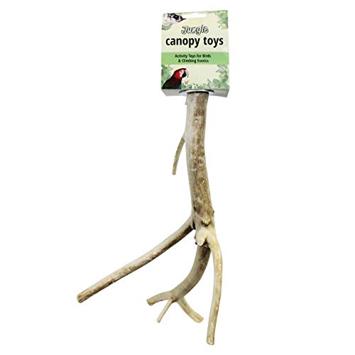 Multi-Branch Perch (Small) - Durable Natural Climbing Branch Perch Cage Accessory - Sugar Gliders, Squirrels, Prairie Dogs, Degus, Marmosets, Monkeys, Parrots, Birds, Rats, Reptiles, Amphibians