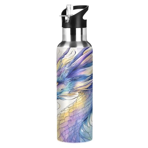 Dragon Water Bottle Kids Stainless Steel Water Bottle with Straw Lid | Leak Proof Boys Girls Insulated Tumbler Cup for School 20 oz - color: Multi16