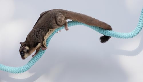 Sugar Glider Cage Accessories, Ideal Climbing Toys Supplies for Tank Habitat