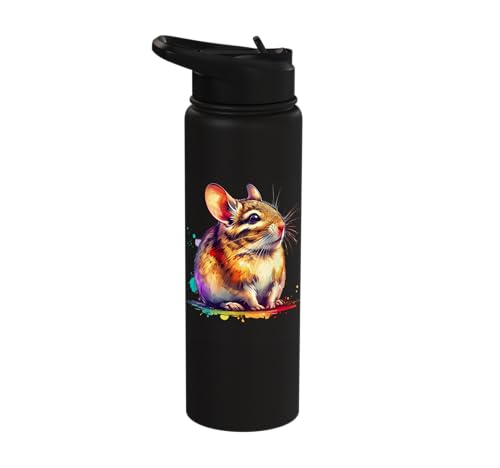 Degu Stainless Steel Insulated Water Bottle - color: Black