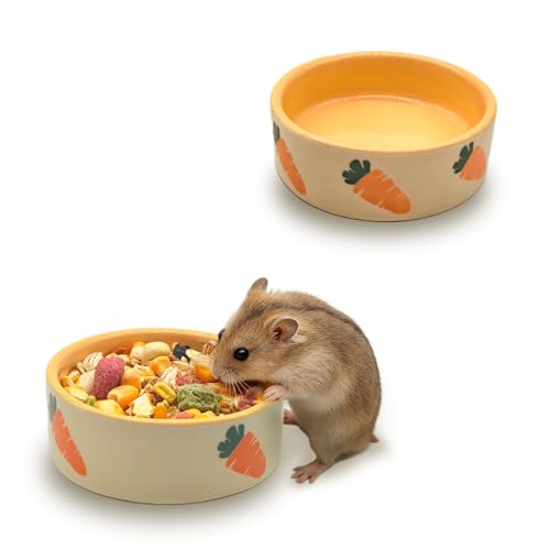 kathson 2 Pcs Hamtser Food Bowl, Guinea Pig Food Bowls, Ceramic Pet Bowl Small Animals Anti-Turning Water Bowls for Bunny Chinchilla Rat Hedgehog (S) - size: S