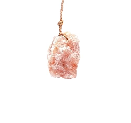 Himalayan Small Pets Salt Lick - 6 Count Natural Mineral Salt Chew Toys with Rope - Treats for Guinea Pig Rabbits Bunny Ferrets