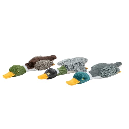 Best Pet Supplies Interactive Squeaky Dog Chew Toy, Ideal Dog Toys for Chewers, Small, Medium & Large Dogs, and Fetch Lovers - Mallard Duck Wing (Gray), Large - color: Mallard Duck Wing (Gray), size: Large