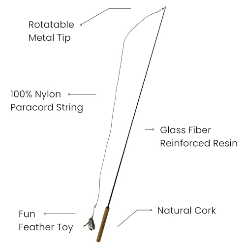 Forever Stick 2-Pack - The Unbreakable Cat Wand Toy, Durable Cat Toy Wand, Extra Long Cat String Toy, Cat Fishing Pole Toy for Bored Indoor Adult Cats, Cat Stick Toy, Cat Feather Wand, Cat Teaser Wand - size: Forever Stick 2-Pack