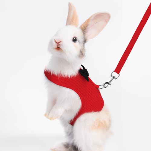Rabbit Leash and Harness Set for Walking Escape Proof, Red S | Young rabbit 1-3 Months Mesh Breathable Adjustable Bunny Harness Camping Hiking Training For Ferret Kitten Puppy - color: Red, size: S Neck 5.5-7.1'', Chest 7.1-9.4''