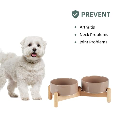 Havniva Elevated Dog Bowls Ceramic Dog Bowls with Stand, Dog Food Bowl | 5.1” Raised Dog Bowls with Non-Slip Wood Stand, Dog Food and Water Bowl Set, Double Dog Feeding Bowls for Small Dogs - color: 2 Bowls+Stand - Brown Coffee, size: 5.1inch