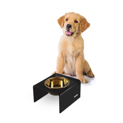 DBL2002B Keaton 5" Small/Medium Modern Acrylic Rectangular Elevated Pet Feeder with 20oz 1-Stainless Steel Bowl, Black/Gold - color: Black/Gold, size: 20 Ounces (5" Cups 1-Pack)