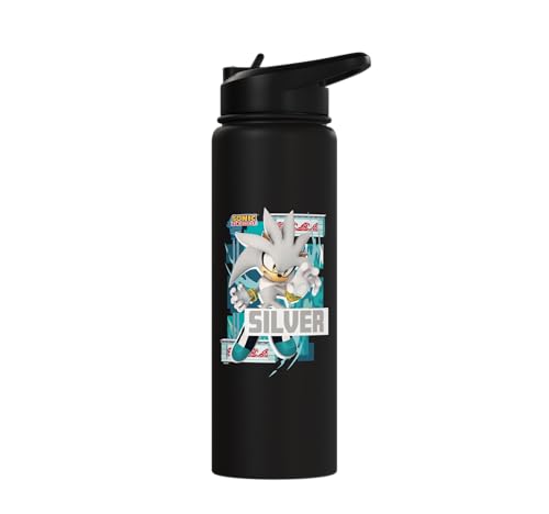 Sonic the Hedgehog - In the Zone - Silver Stainless Steel Insulated Water Bottle - color: Black