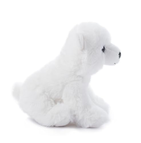 The Petting Zoo Polar Bear Stuffed Animal Plushie, Gifts for Kids, Wild Onez Babiez Zoo Animals, Polar Bear Plush Toy 6 inches - color: Polar Bear