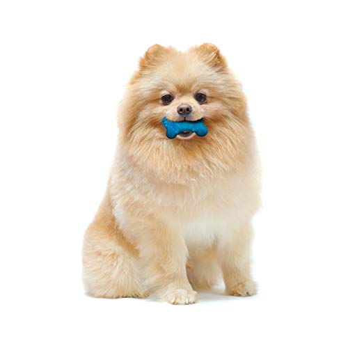 Nylabone Flexi Chew Tiny Gumabone Dog Chew Toys, XX-Small, 2 Count | Peanut butter & bacon flavor, x-small breeds, flexible material, fill with treats, gentle on teeth, for dogs up to 15 lbs