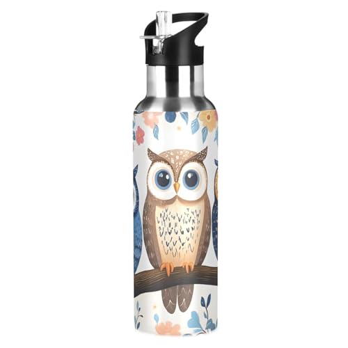 Cute Owls Water Bottle Kids Stainless Steel with Straw Lid | Leak Proof Water Bottle Boys Girls Insulated Tumbler Cup for School 20 oz - color: Multi22