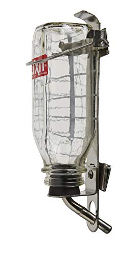 Lixit Heavy Duty Deluxe Glass Water Bottles for Birds, Dogs and Small Animals. (16oz Large Tube) - size: 16 oz Large Tube