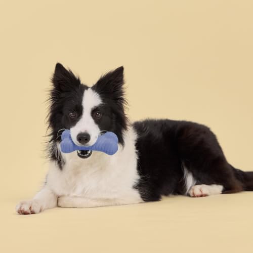 Playology Dual Layer Bone Dog Chew Toy - Jumbo, Blueberry Scent | Rubber Construction, All Natural Scent, Heavy Duty Design - size: Jumbo, style: Blueberry