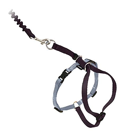 PetSafe Come with Me Kitty Harness and Bungee Cat Leash, Black, Small | Adjustable 2-Point Fit Applies Gentle Pressure to Shoulders, Not Neck, for Kittens and Small Cats with 9 in - 11 in Girth - color: black/fawn, size: Small (Pack of 1)