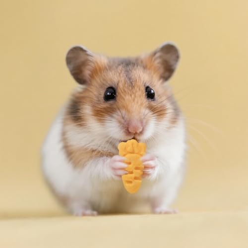 Abizoo Hamster & Gerbil Treats, Crispy Baked Hamster Cookies | Chew Treats for Small Animals, Crunchy Texture for Chewing, Supports Digestion & Dental Health, Made with Carrot & Yeast