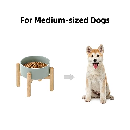 Havniva Elevated Dog Bowls Ceramic Dog Bowls with Stand, Dog Food Bowl | 6.1” Raised Dog Bowls with Non-Slip Wood Stand, Dog Food and Water Bowl Set, Dog Feeding Bowls for Small & Medium Dogs - color: Bowl+Stand - Light Green, size: 6.1inch
