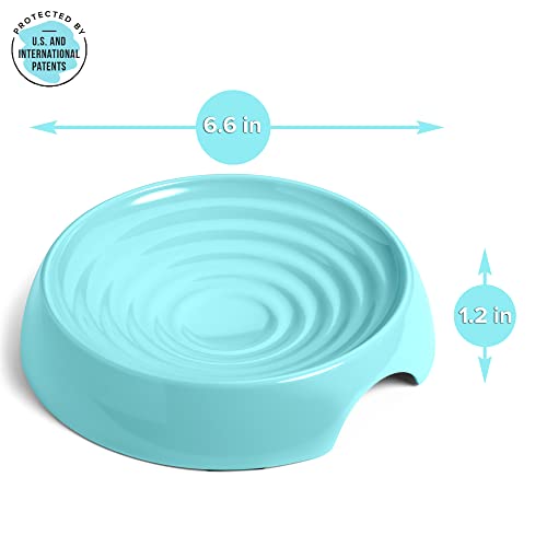 CatGuru Cat Bowls, Whisker Friendly Food Bowl for Indoor Cats, Reliefs Whisker Fatigue, Wide Kitten Dish, Non Slip Pet Dishes, Shallow Pet Plates (Aruba, (Pack of 2)) - color: Aruba, size: Dish - Set of Two
