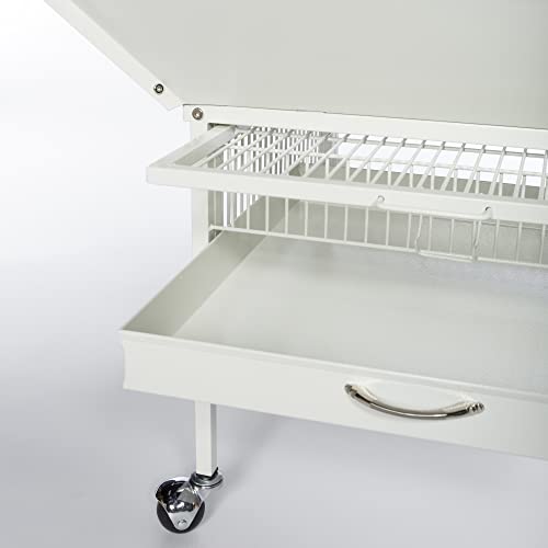 Prevue Pet Products Dome Top Bird Cage with Push Button Locks - Chalk White | Powder‑Coated Steel Cage with Wheels, Seed Guards, and Perch, Ideal for Cockatiels and All Small-Medium Sized Birds