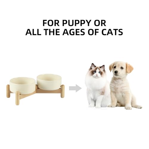 Havniva Elevated Dog Bowls Ceramic Dog Bowls with Stand, Dog Food Bowl | 5.1” Raised Dog Bowls with Non-Slip Wood Stand, Dog Food and Water Bowl Set, Double Dog Feeding Bowls for Small Dogs - color: 2 Bowls+Stand - Light Yellow, size: 5.1inch