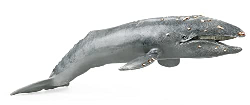 Gemini & Genius Sea Life Gray Whale, Large Grey Whale Realistic Wildlife Toy Replica Hand Painted Whale Figurine, Ocean Model Toy, Educational, Role Play, Swim, Bath and Collectors for Kids | Replica Hand Painted Whale Figurine, Ocean Model Toy, Education