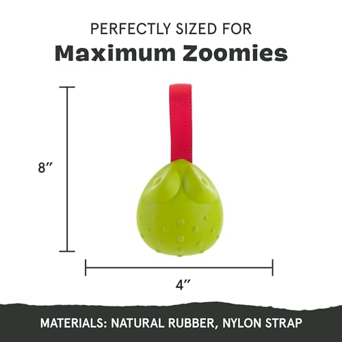 BarkBox Tug Tied Toad Dog Toy | for Tough Chewers - Durable Rubber Design, Perfect for Tug-of-War - color: Tug Tied Toad-Large