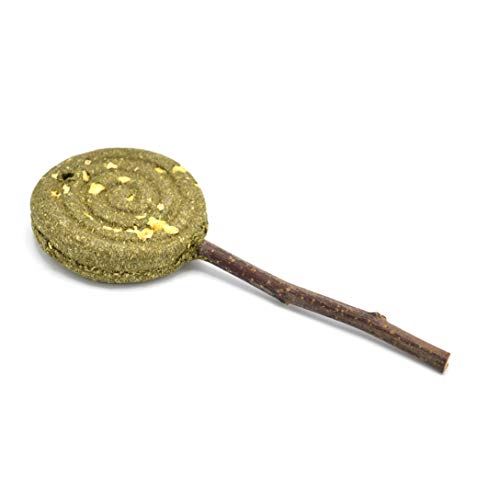 Oxbow Timothy Hay Lollipop, Rabbit & Guinea Pig Chew Toy, Apple Flavor | Oxbow Enriched Life, Rabbit Chew Toys, Timothy Hay, Guinea Pig Enrichment, Guinea Pig Chew Toys, Rabbit Enrichment - size: 0.96 Ounce (Pack of 1)