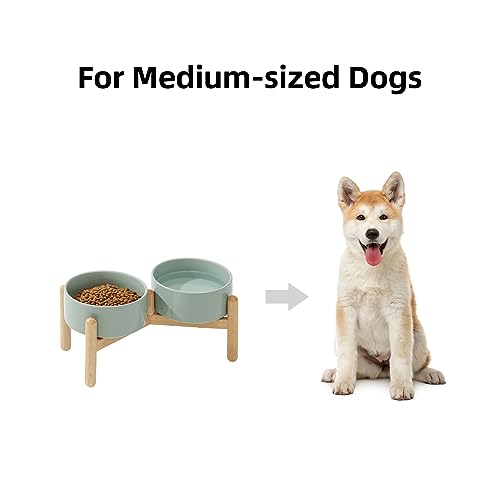 Havniva Elevated Dog Bowls Ceramic Dog Bowls with Stand, Dog Food Bowl | 6.1” Raised Dog Bowls with Non-Slip Wood Stand, Dog Food and Water Bowl Set, Double Dog Feeding Bowls for Small & Medium Dogs - color: 2 Bowls+Stand - Light Green, size: 6.1inch