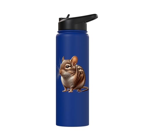 Degu Design Stainless Steel Insulated Water Bottle - color: Royal Blue