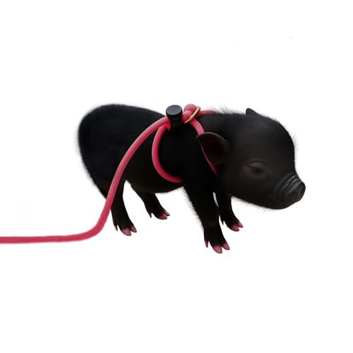 12-Foot Mini Pig Harness - Adjustable Harness & Leash for All Animals - Pigs, Ferrets, Rabbits, Guinea Pigs, Dogs, Cats, Reptile, and Chickens - color: Pink