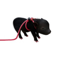 12-Foot Mini Pig Harness - Adjustable Harness & Leash for All Animals - Pigs, Ferrets, Rabbits, Guinea Pigs, Dogs, Cats, Reptile, and Chickens - color: Pink