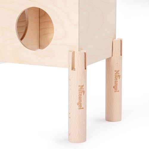 Niteangel Set of Beech Stilts for Elevating & Safely Setting Niteangel Multi-Chamber Series Maze House (Set of 5 Stilts (5.9'' H)) - size: Set of 5 Stilts (5.9'' H)