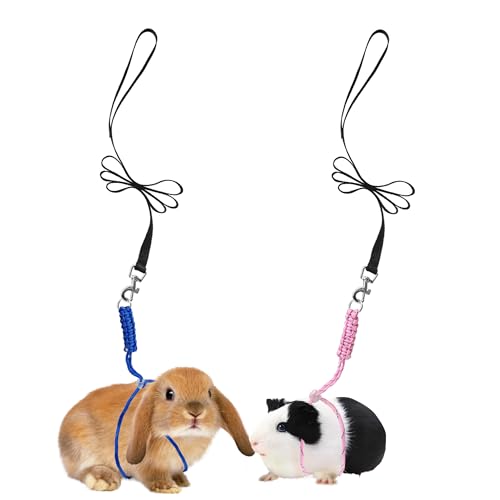 Handmade Figure 8 Harness and Leash for Ferrets/Guinea Pigs/Rats | Adjustable, Lightweight & Safe | Fits Small Animals: Bunnies/Bearded Dragons/Chinchillas/Reptiles/Birds/Squirrels/Rabbits - color: Blue+Pink