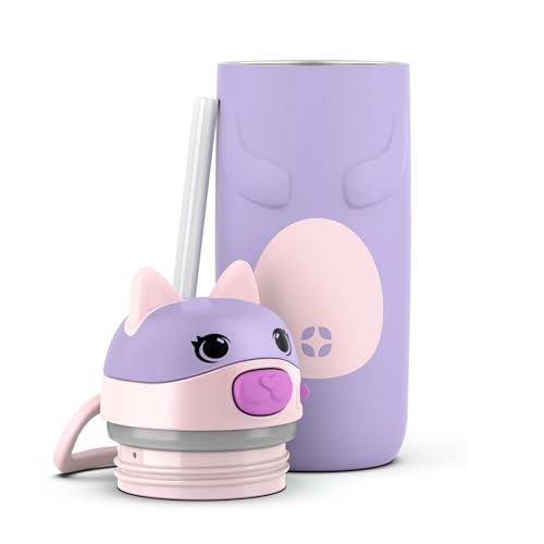 Ello Ellies 12oz Stainless Steel Leakproof Kids Water Bottle, Cat | Insulated kids water bottle with straw, leakproof locking lid, carry handle, and stainless steel fun animal design for school - color: Cat, size: 12 Ounces